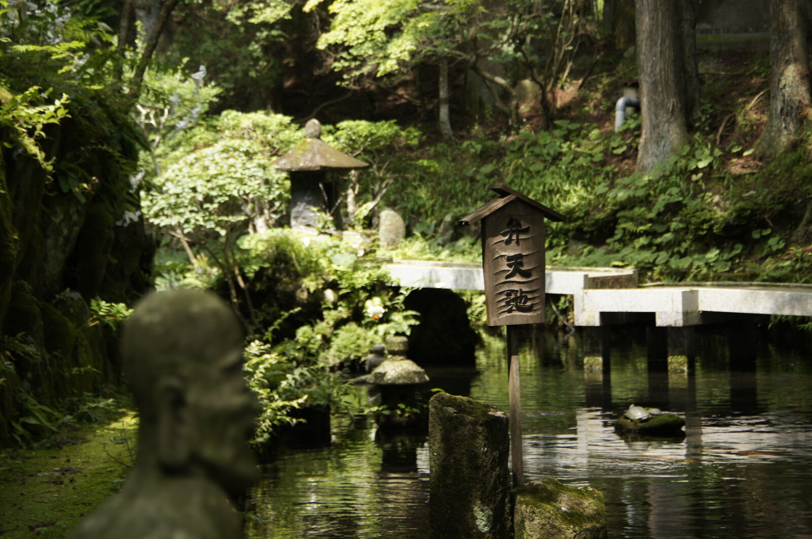 Temple pond with wooden bridge and Japanese sign post, a rakan figure blurred in the foreground, deep green tones