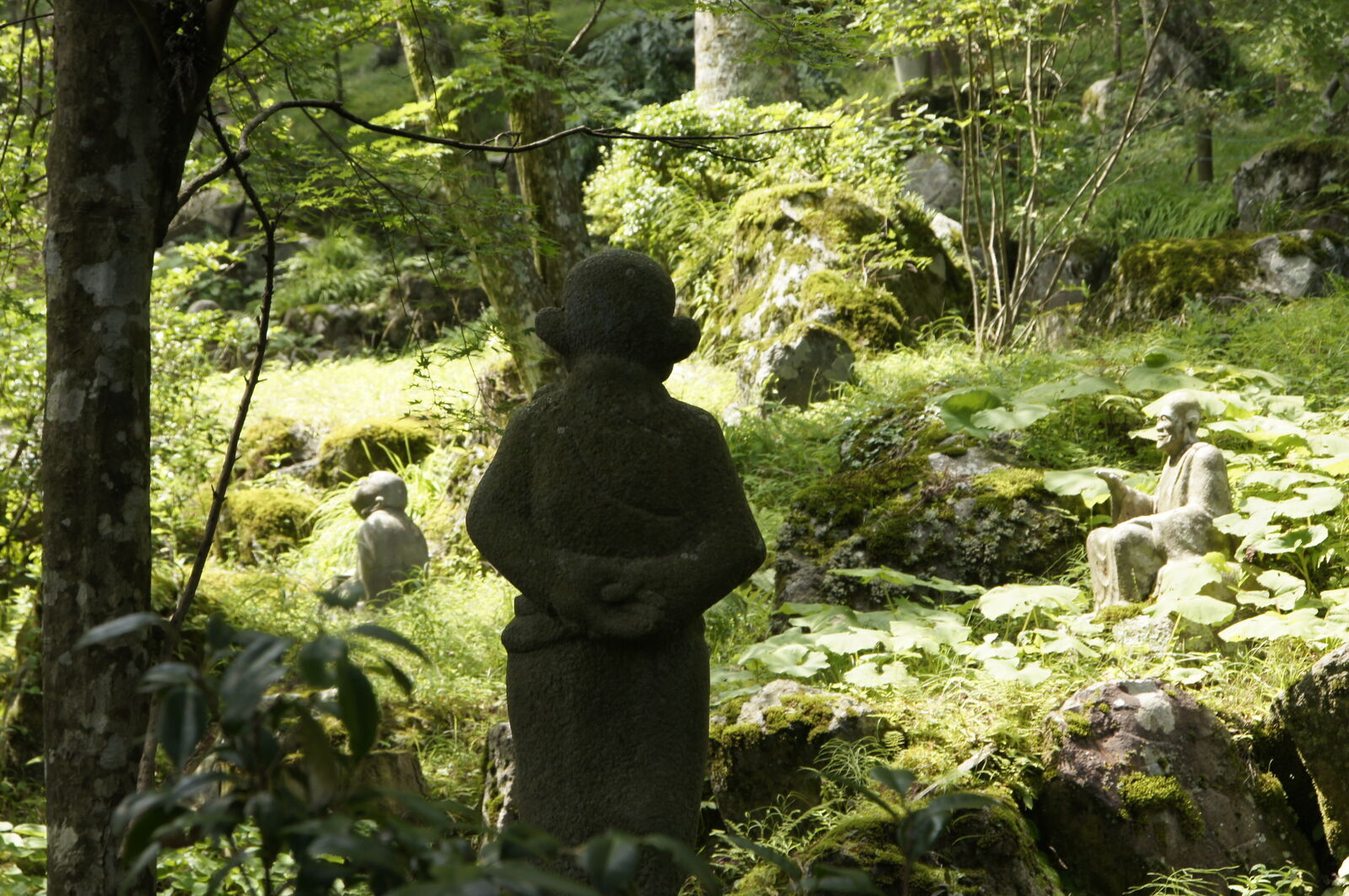 Standing figure seen from behind with hands clasped, looking out at sun-dappled figures in the forest, warm backlight