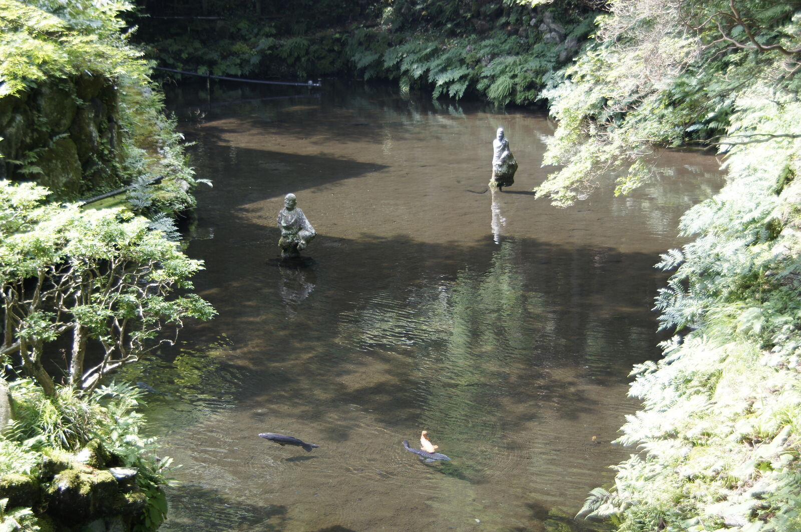 The pond seen from above showing two rakan figures and koi fish, bird's-eye perspective through the tree canopy