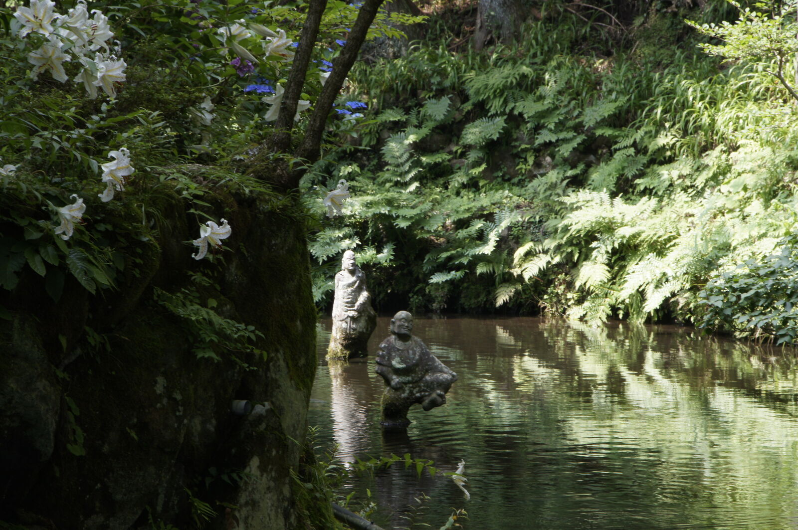 Two rakan figures standing in the pond with white lilies blooming on the left, summer light filtering through ferns
