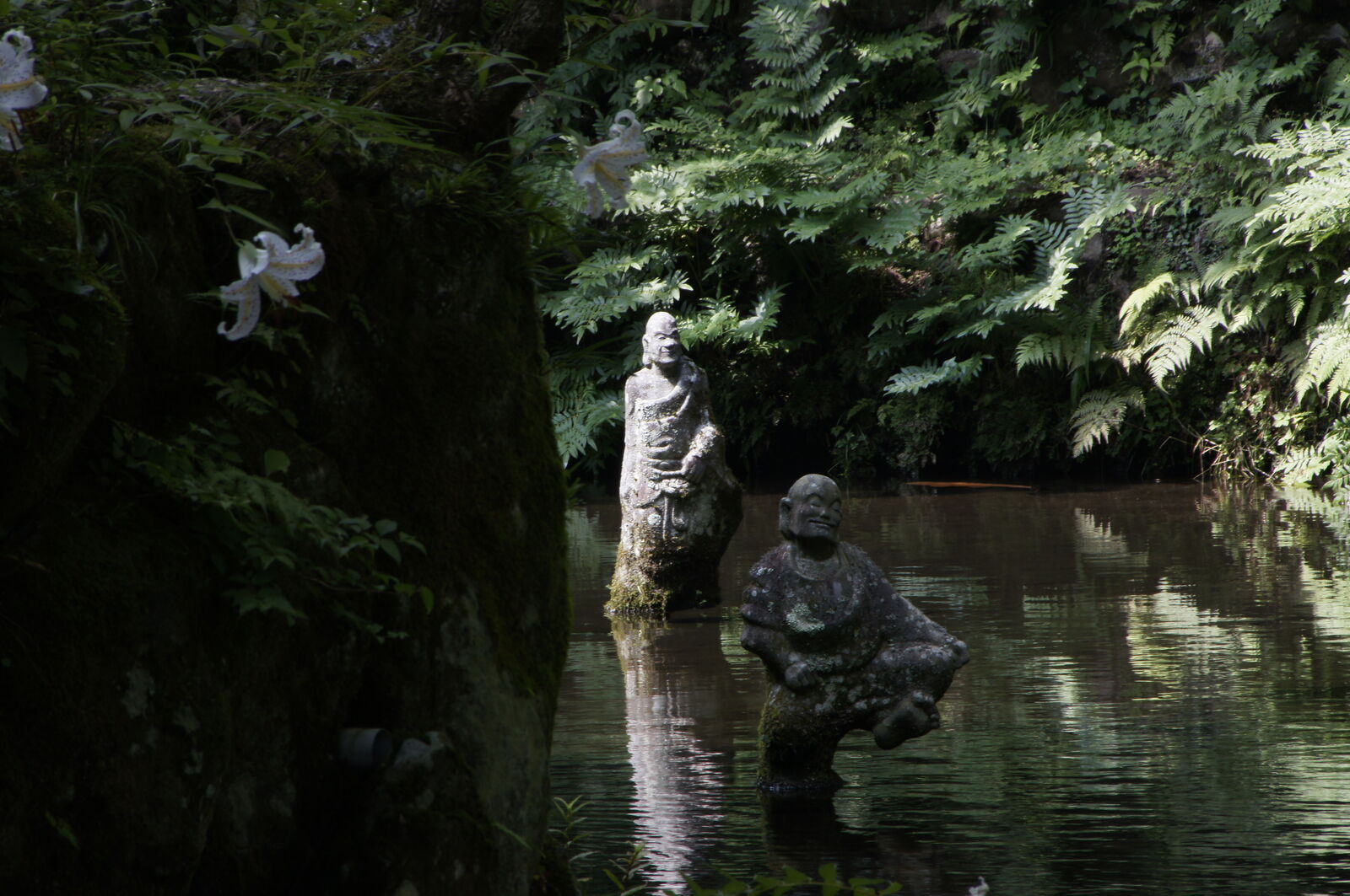 Two figures in dark water framed by white lilies and dense fern growth, moody afternoon light