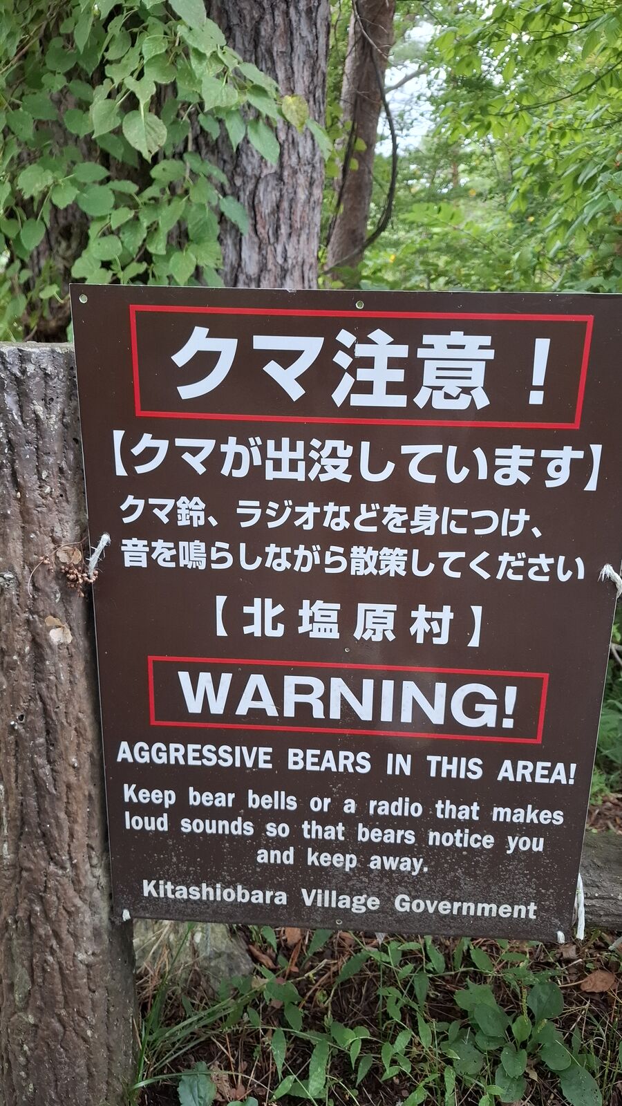 Bear warning sign in the forest near the circuit perimeter