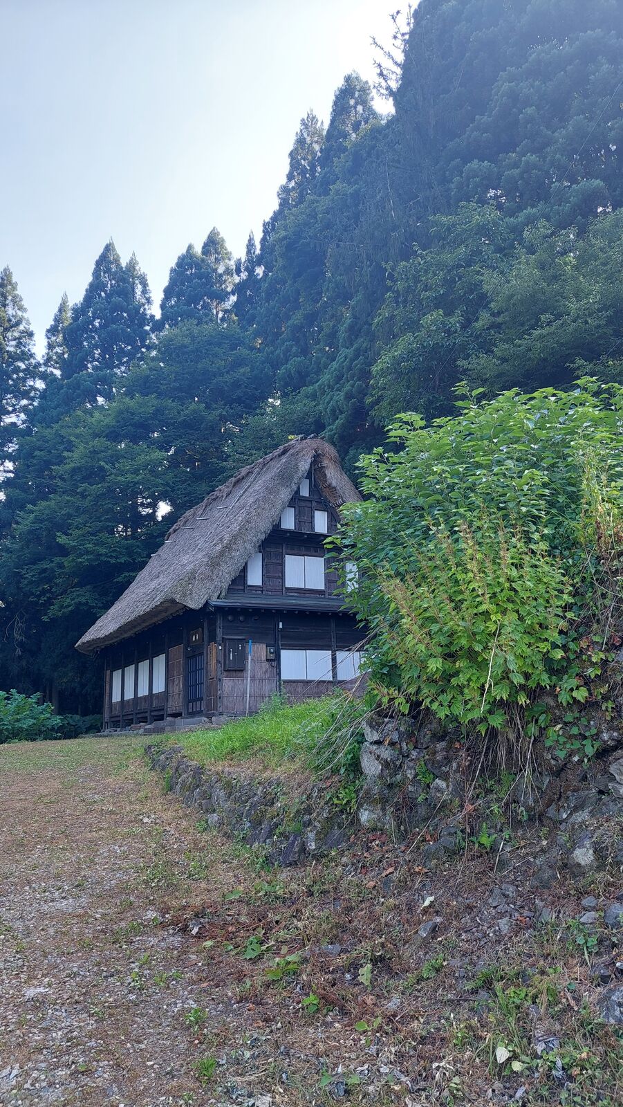 A single gassho-zukuri house with its steep roof against a dark forested hillside