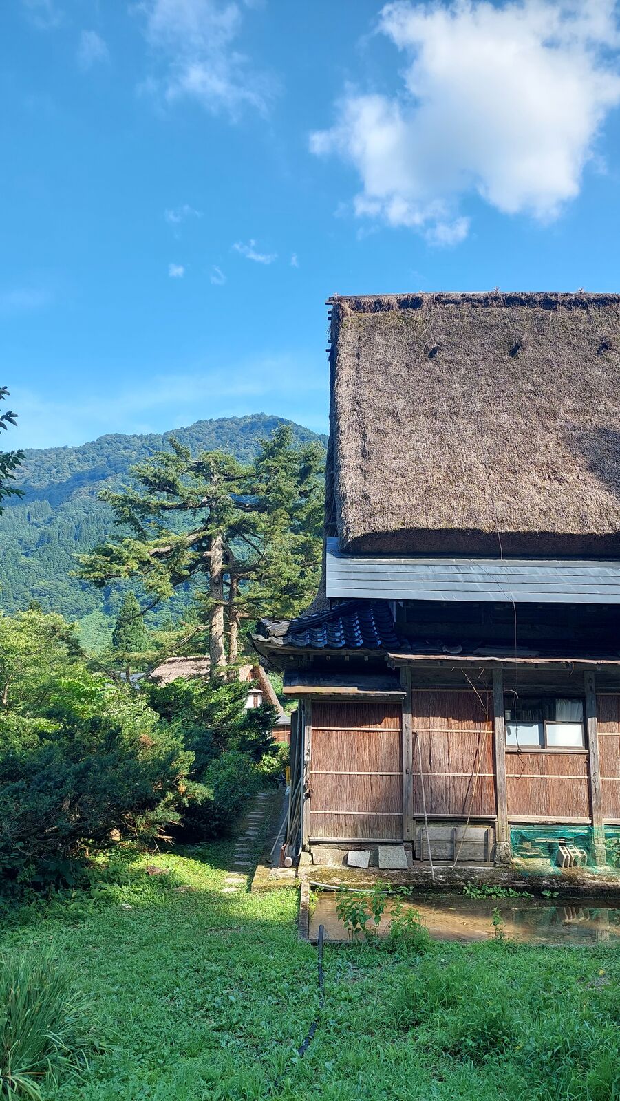 Close-up of a gassho-zukuri house showing the dark aged wood and layered thatch construction