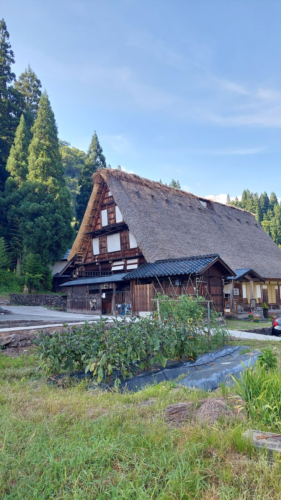 Large gassho-zukuri house seen from the side showing the full scale of the thatched roof