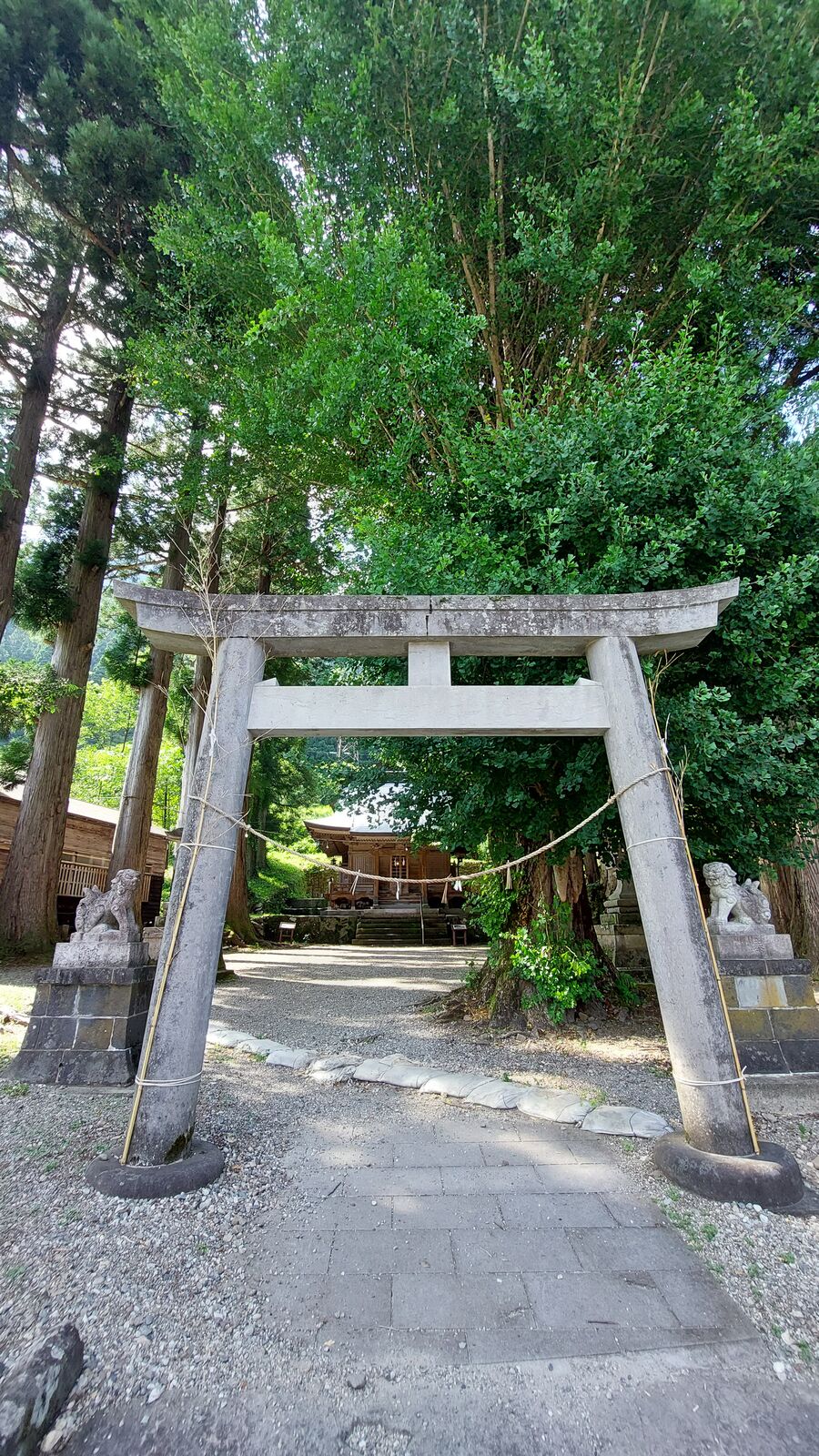 Stone torii gate at the entrance to the village shrine, komainu guardian dogs at the base