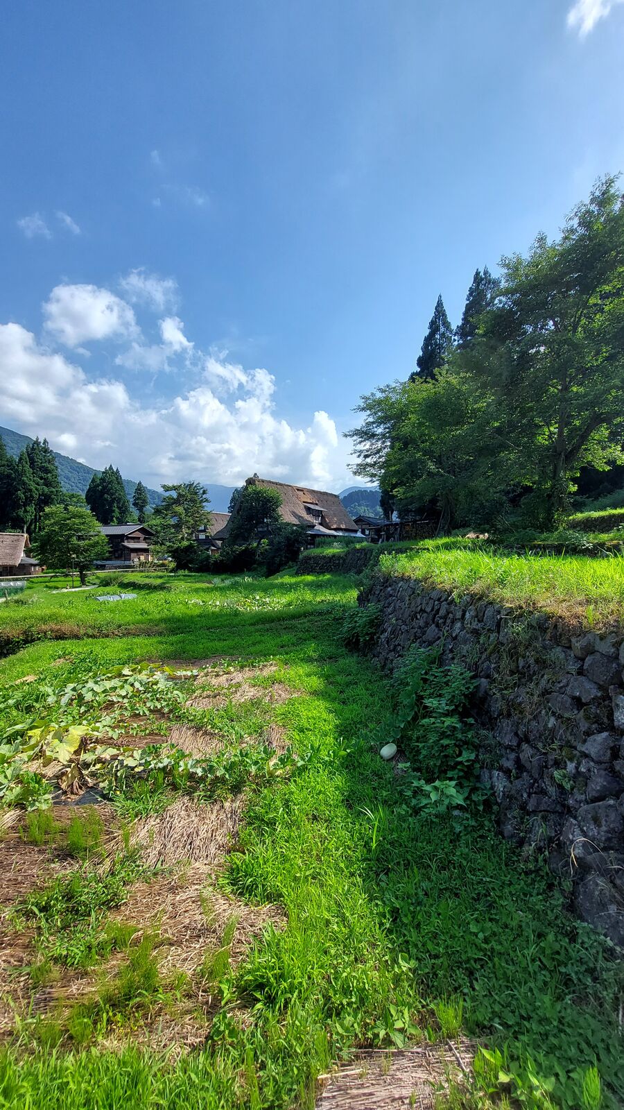 Terraced garden with stone walls leading up to a gassho-zukuri house in Ainokura