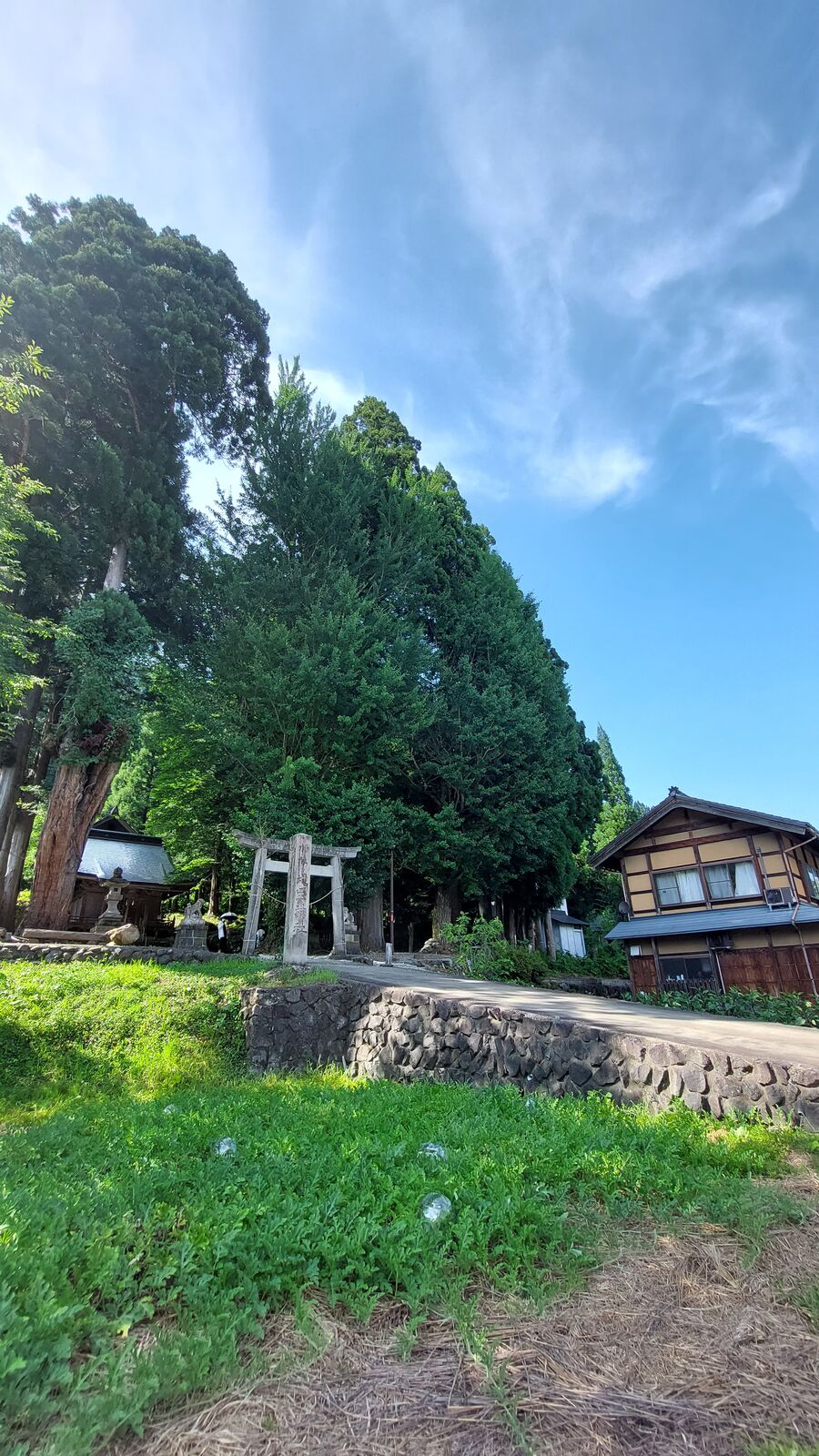 View of the stone torii gate from a distance across a green lawn with the forest behind