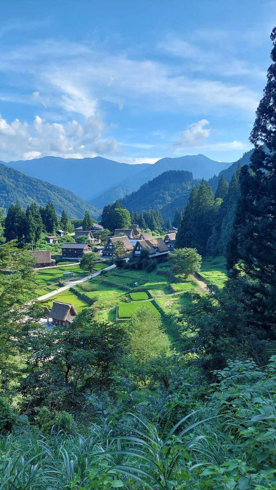 Wide valley view from the viewpoint showing the village nestled among mountains and cedar forest