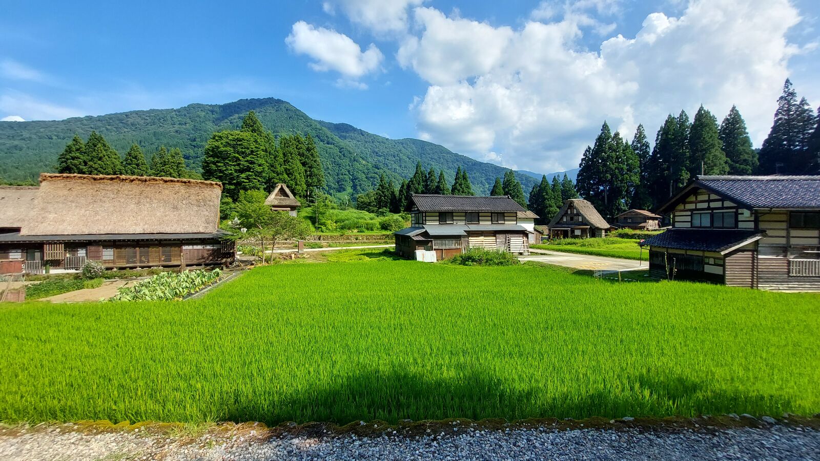 Wide view of Ainokura village with multiple gassho-zukuri houses, vegetable gardens, and rice paddies against mountain backdrop