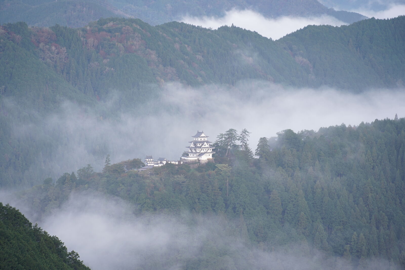 Clean view of the castle rising above clouds with forested mountain slopes