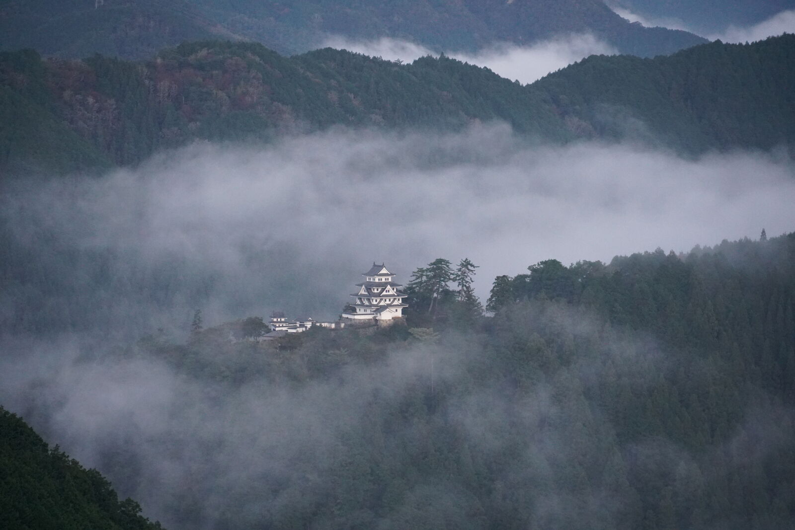 Gujo Hachiman Castle surrounded by clouds with warm dawn light at sunrise