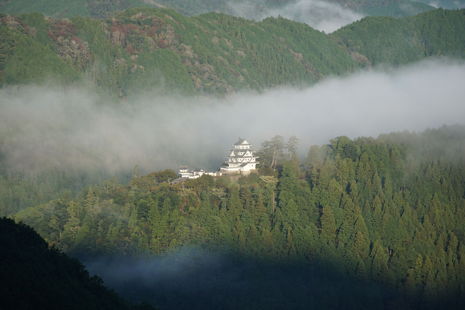Gujo Hachiman Castle in clear morning light surrounded by cedar forest and mountains