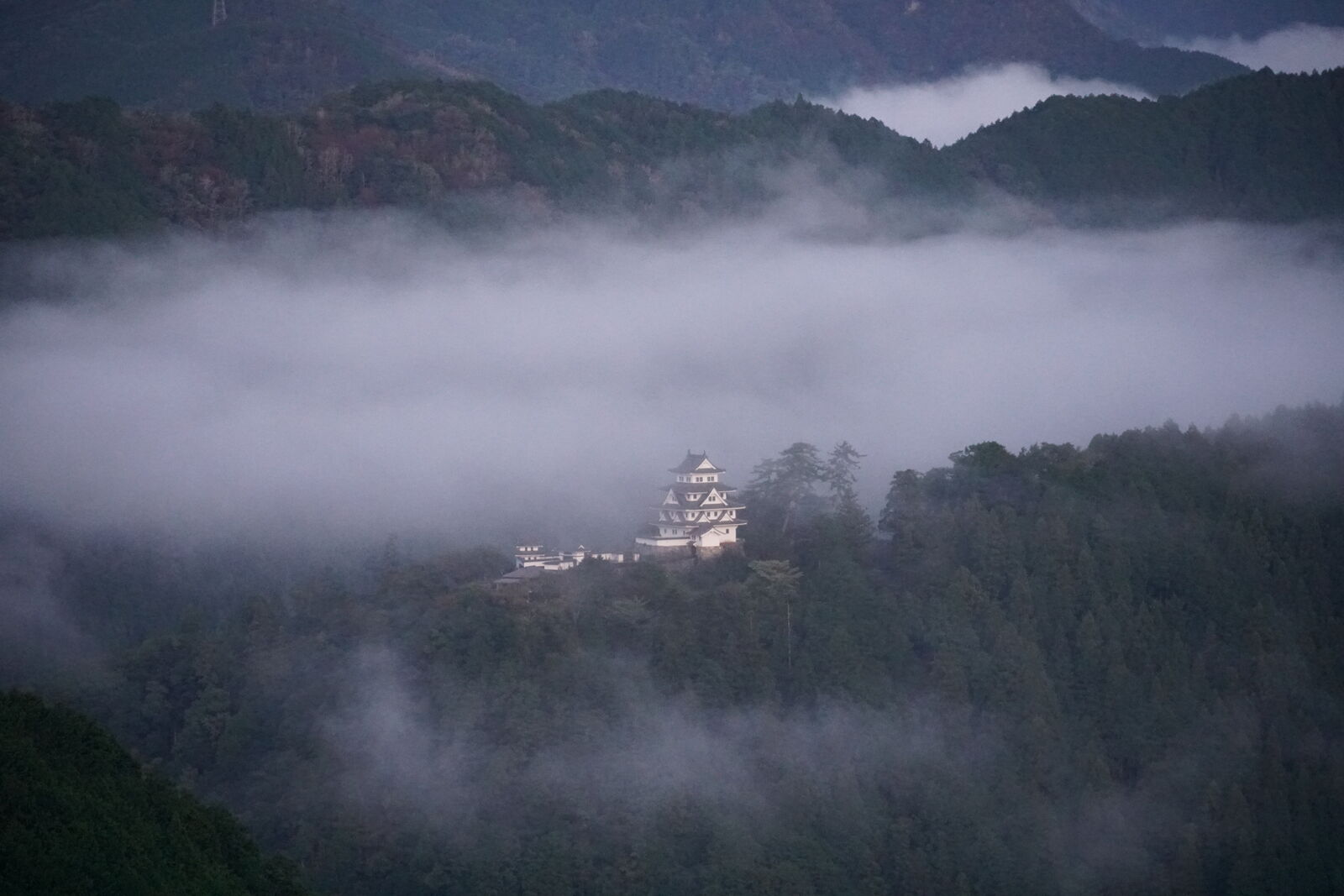 The iconic view: Gujo Hachiman Castle floating above a sea of clouds at dawn