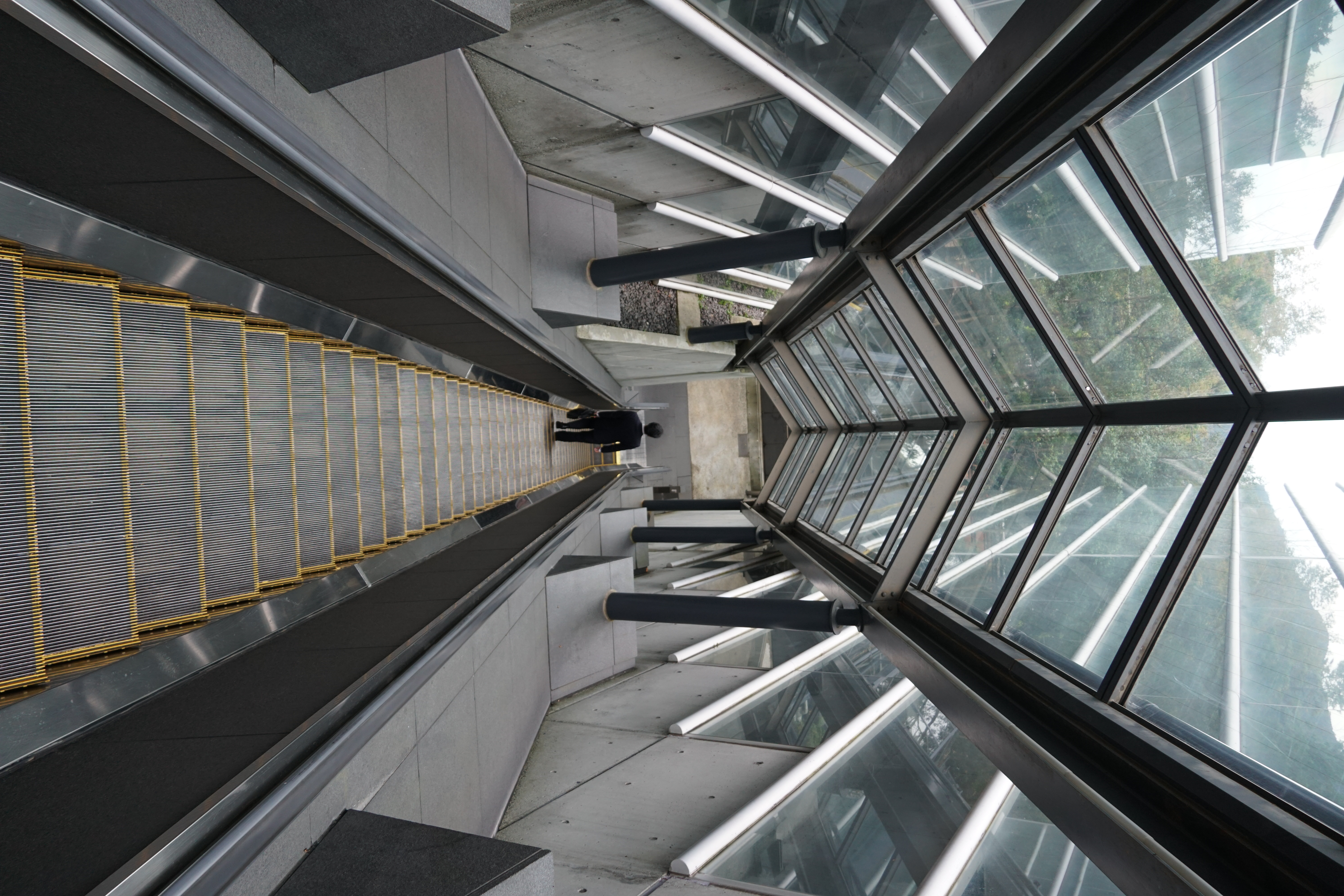 Museum interior with escalators and modern design