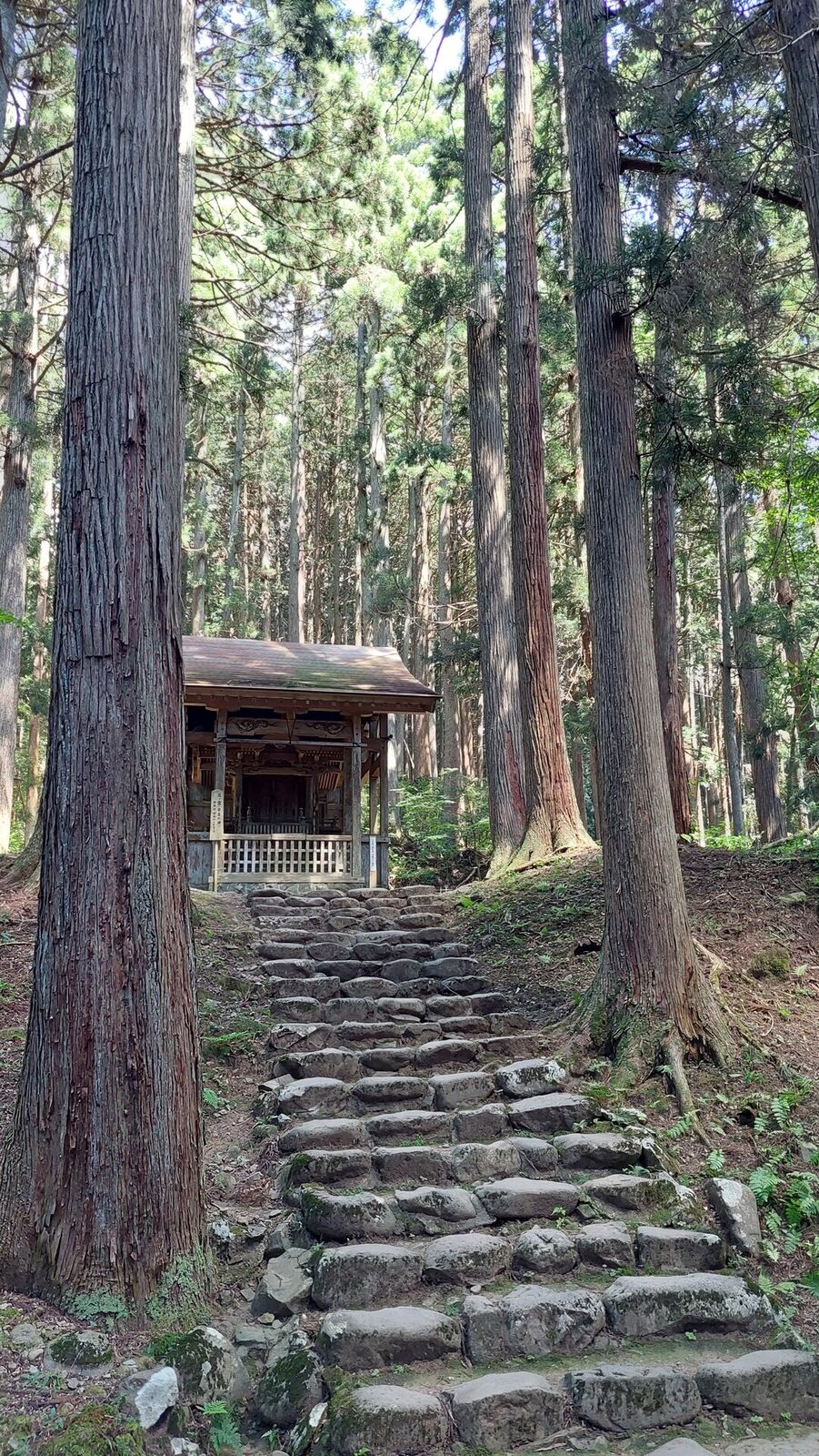 Cedar-lined path leading to a small wooden shrine building deeper in the forest, stone retaining wall alongside