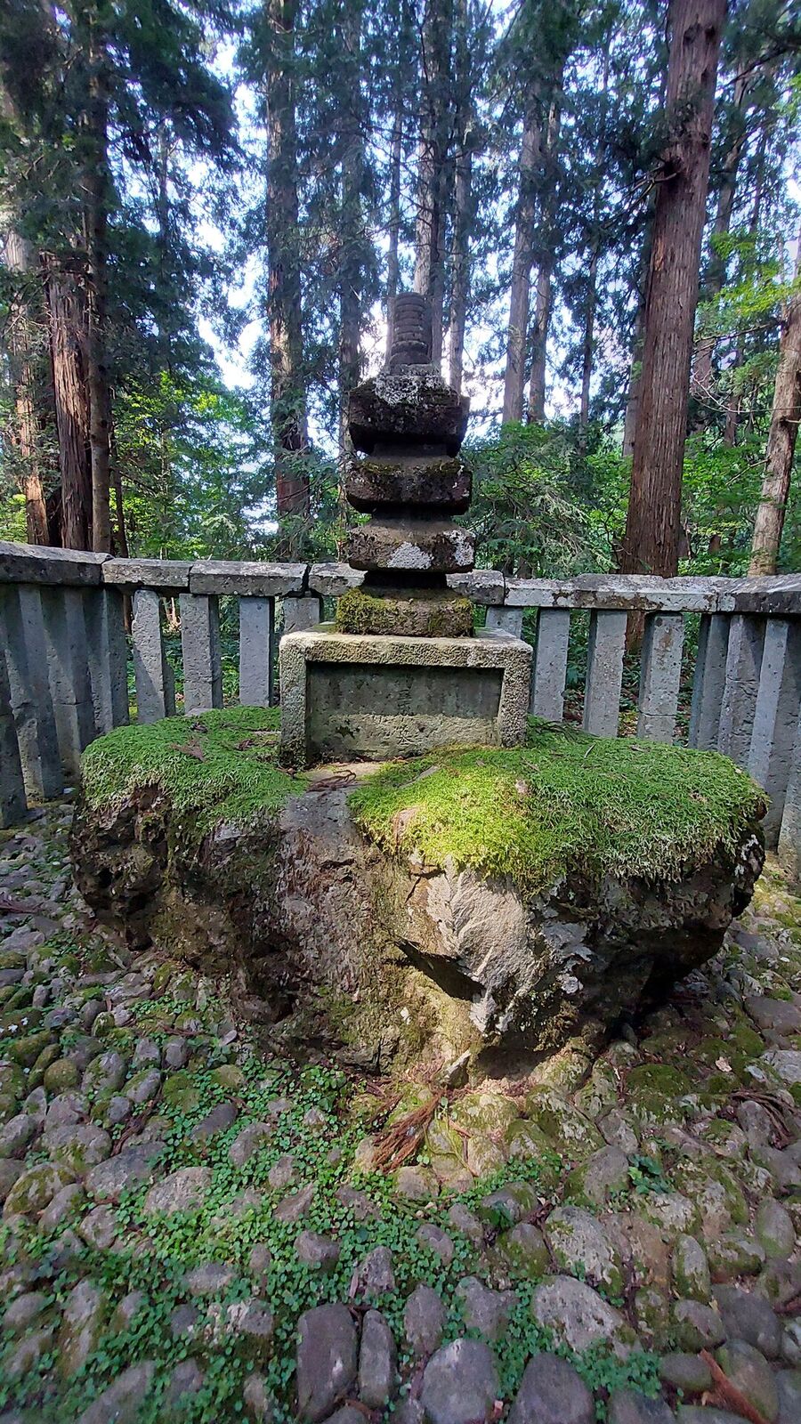 Stone steps leading deeper into the forest toward a small shrine, stone walls from the medieval city visible, summer afternoon light