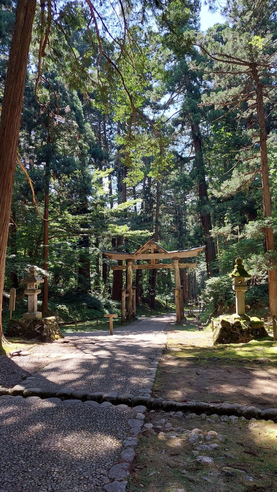 The wooden torii gate seen past a medieval stone wall, cedars framing the path in bright summer light