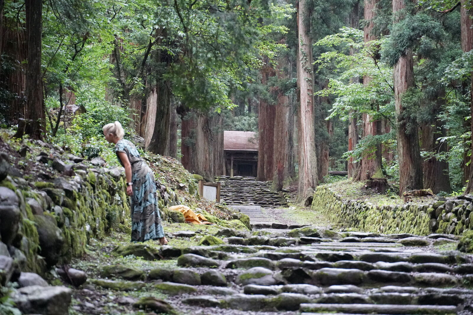 The original medieval stone steps leading deeper into the forest, heavily moss-covered, worn by centuries of pilgrims