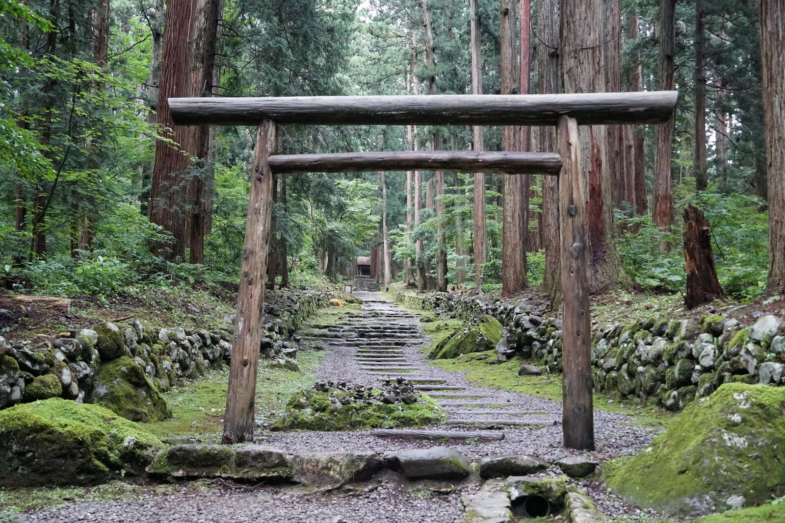 A simple wooden torii gate deeper in the forest, moss-covered boulders and ancient stone path leading to hidden shrines beyond