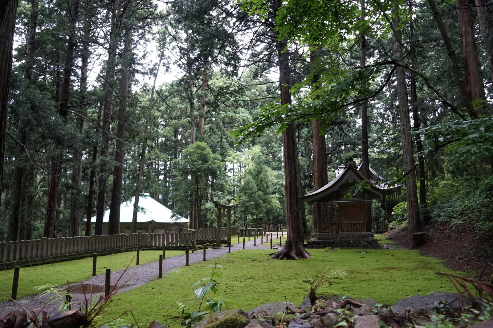 Side view deeper into the shrine complex, smaller structures visible among the cedars, moss carpet and wooden railings