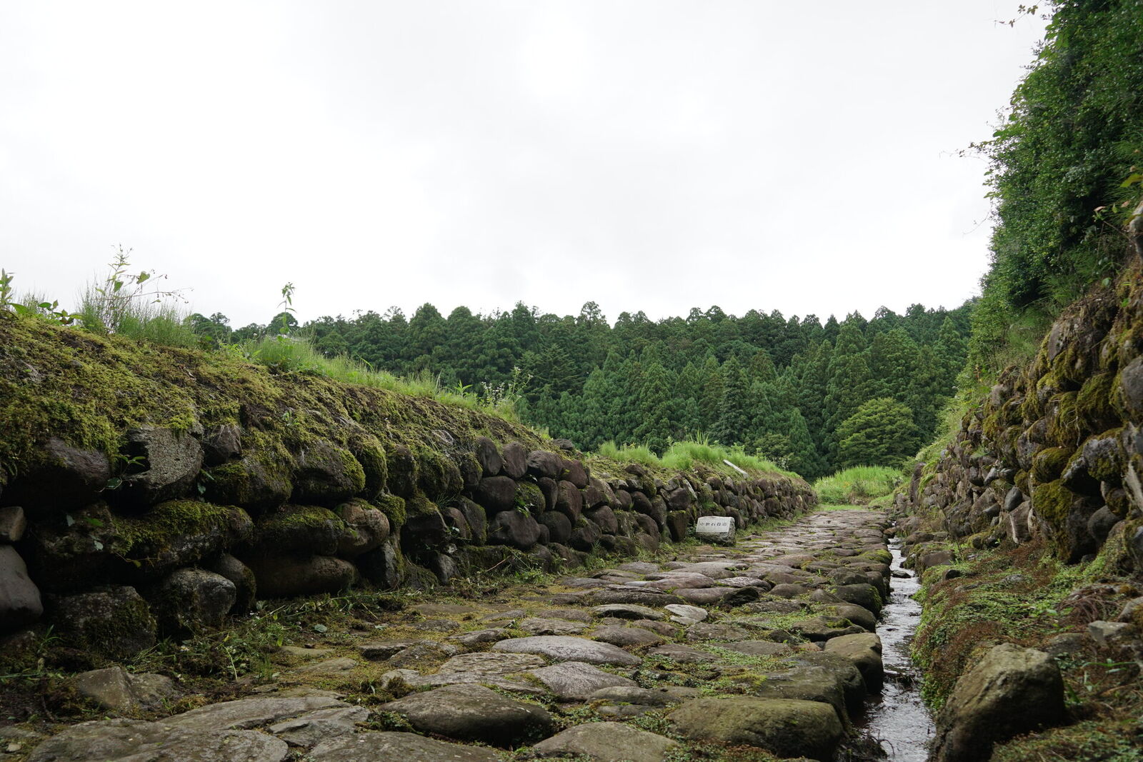 Archaeological excavation area showing exposed stone foundation walls of the medieval city, stream running through, forest canopy above