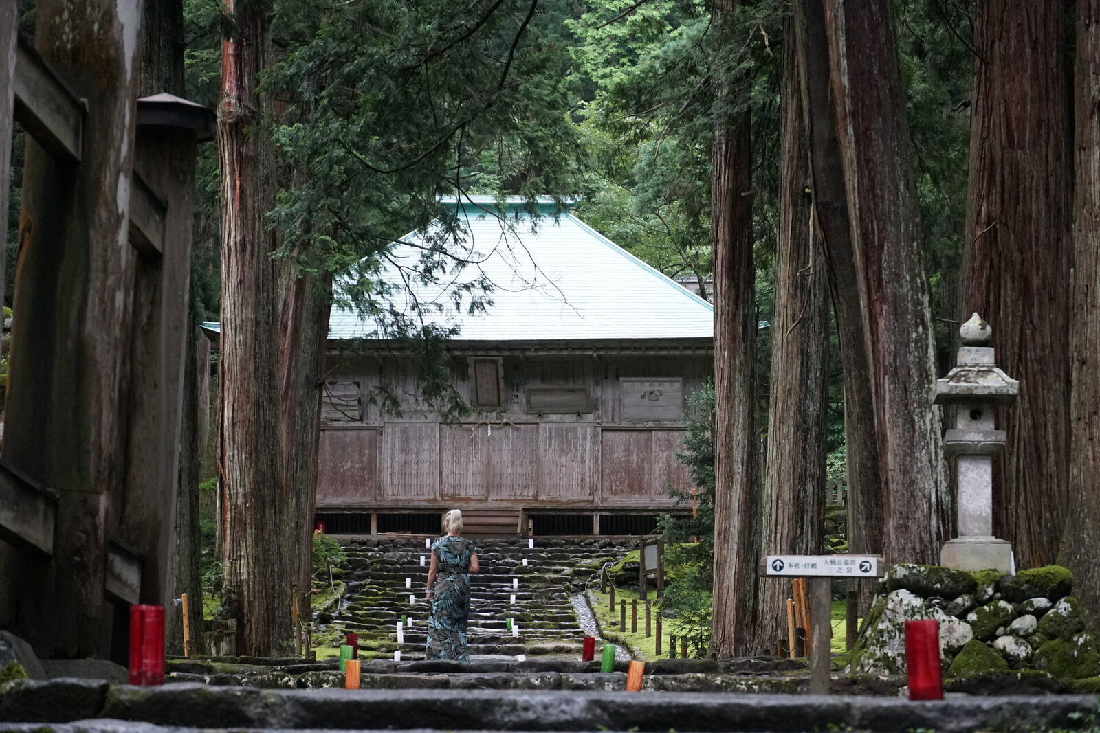Approaching the main shrine building up the ancient stone steps, towering cedars creating a natural nave