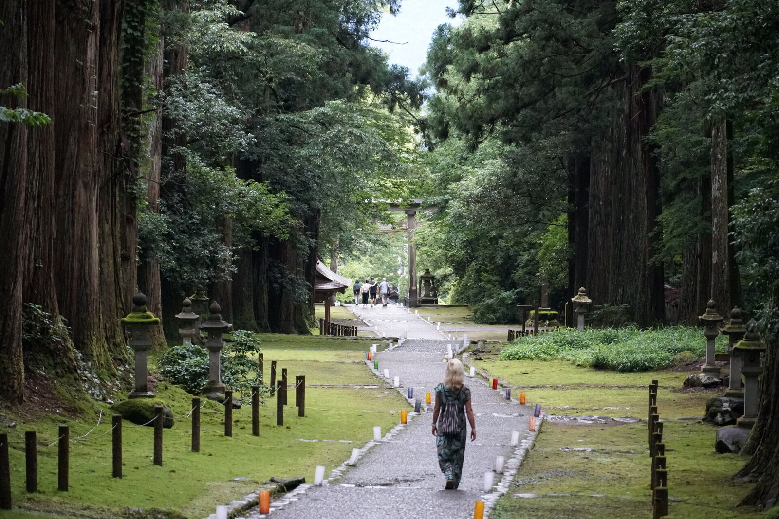The central moss-covered path with stone lanterns marking the way, shrine structures dissolving into the misty green distance