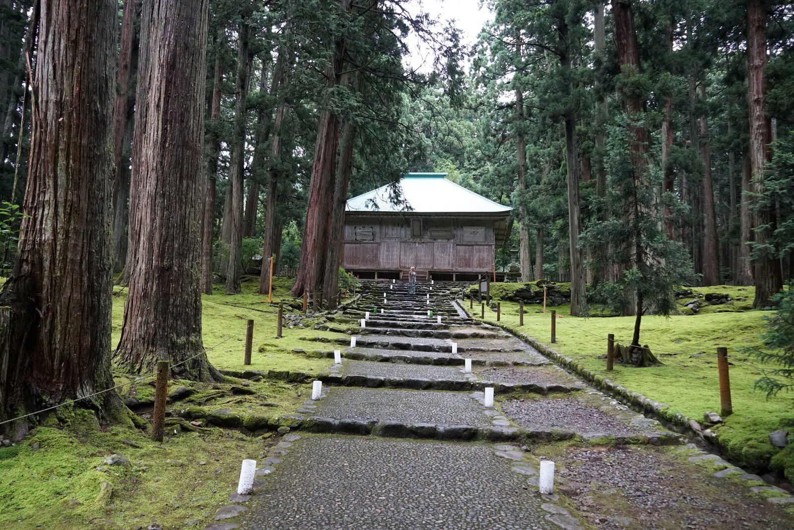 The stone path leading straight to the main shrine building, moss carpet on both sides, ancient cedars framing the view