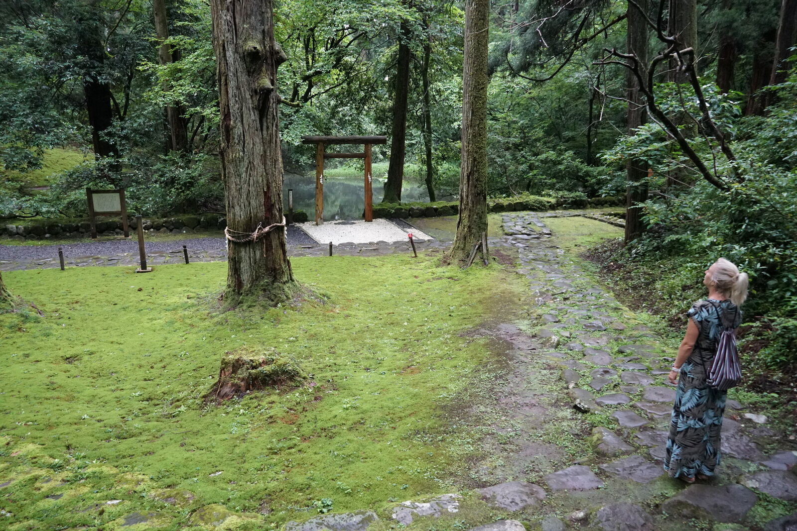 The sacred sand garden with small torii gate, stone stepping path, and moss carpet under ancient cedars