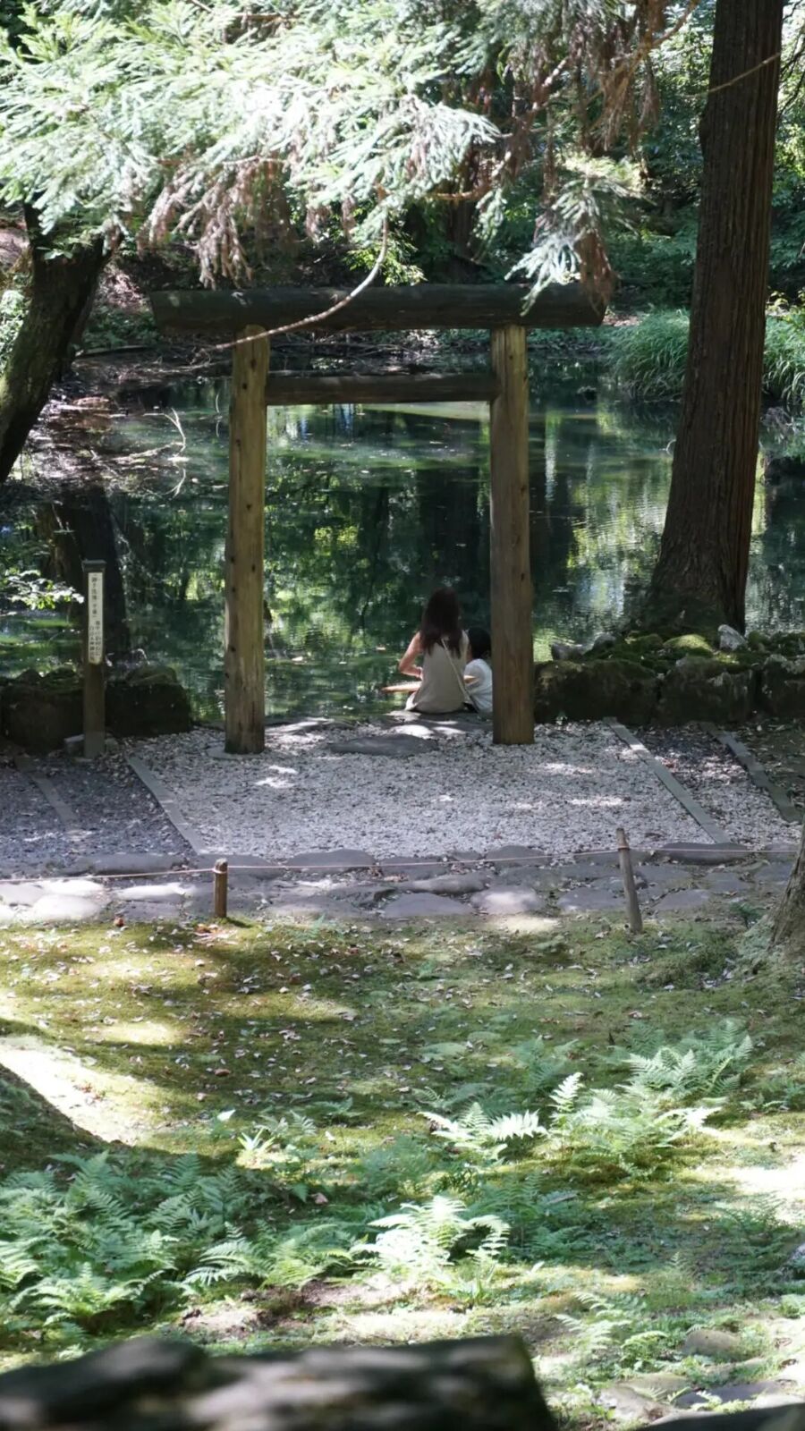 The sacred pond with a visitor sitting under the wooden torii gate at the water's edge, ferns and moss in the foreground, ancient cedars reflected in the still water