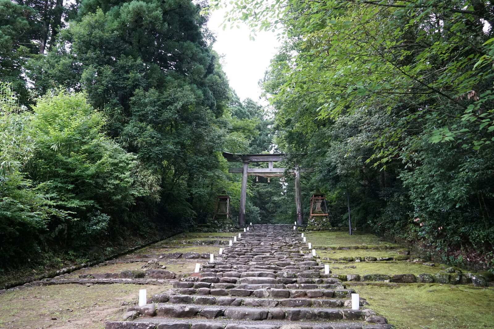 Massive ancient stone steps leading up to the wooden torii gate, moss growing along the edges, green forest on both sides