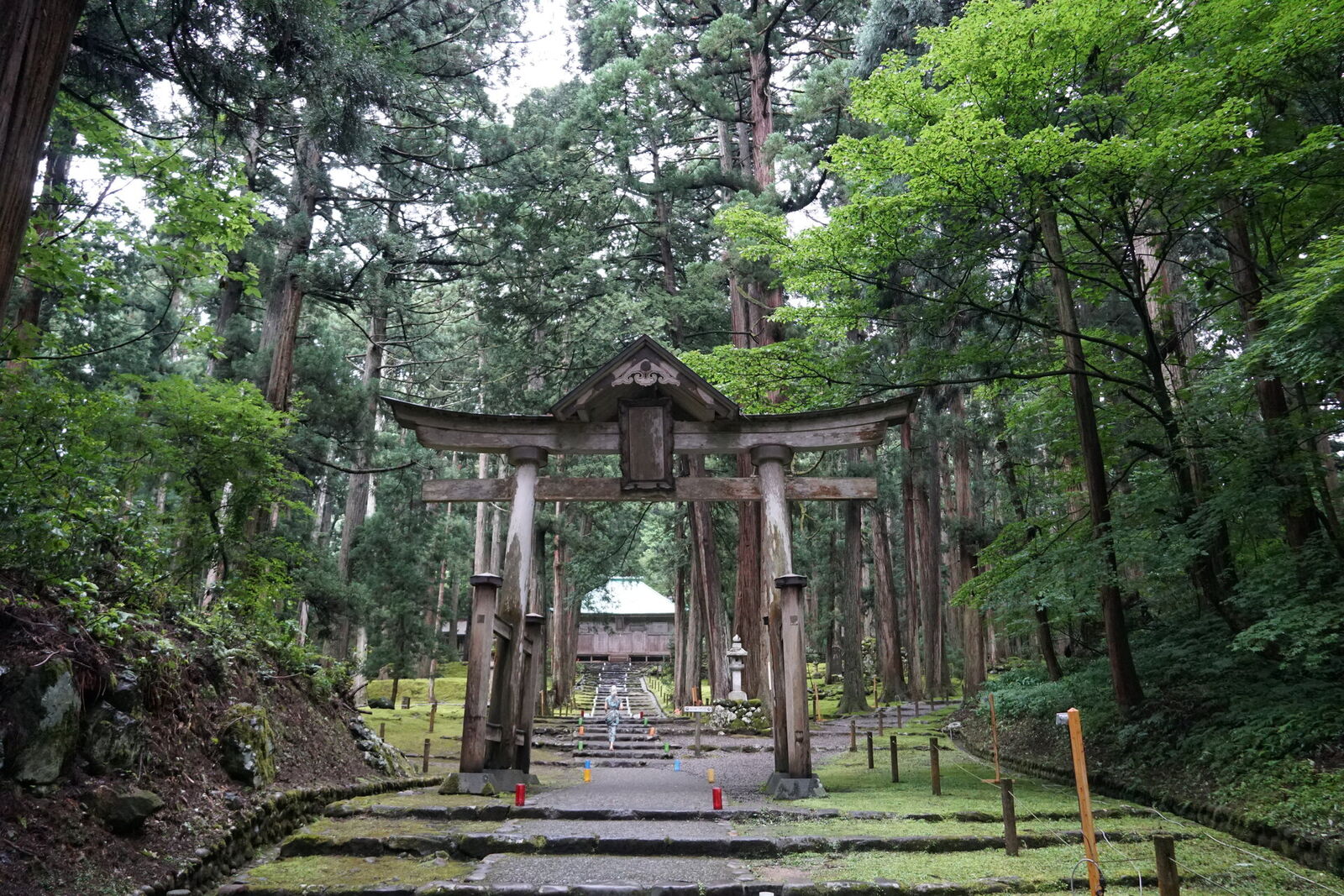 Hakusan Heisenji moss shrine torii gate