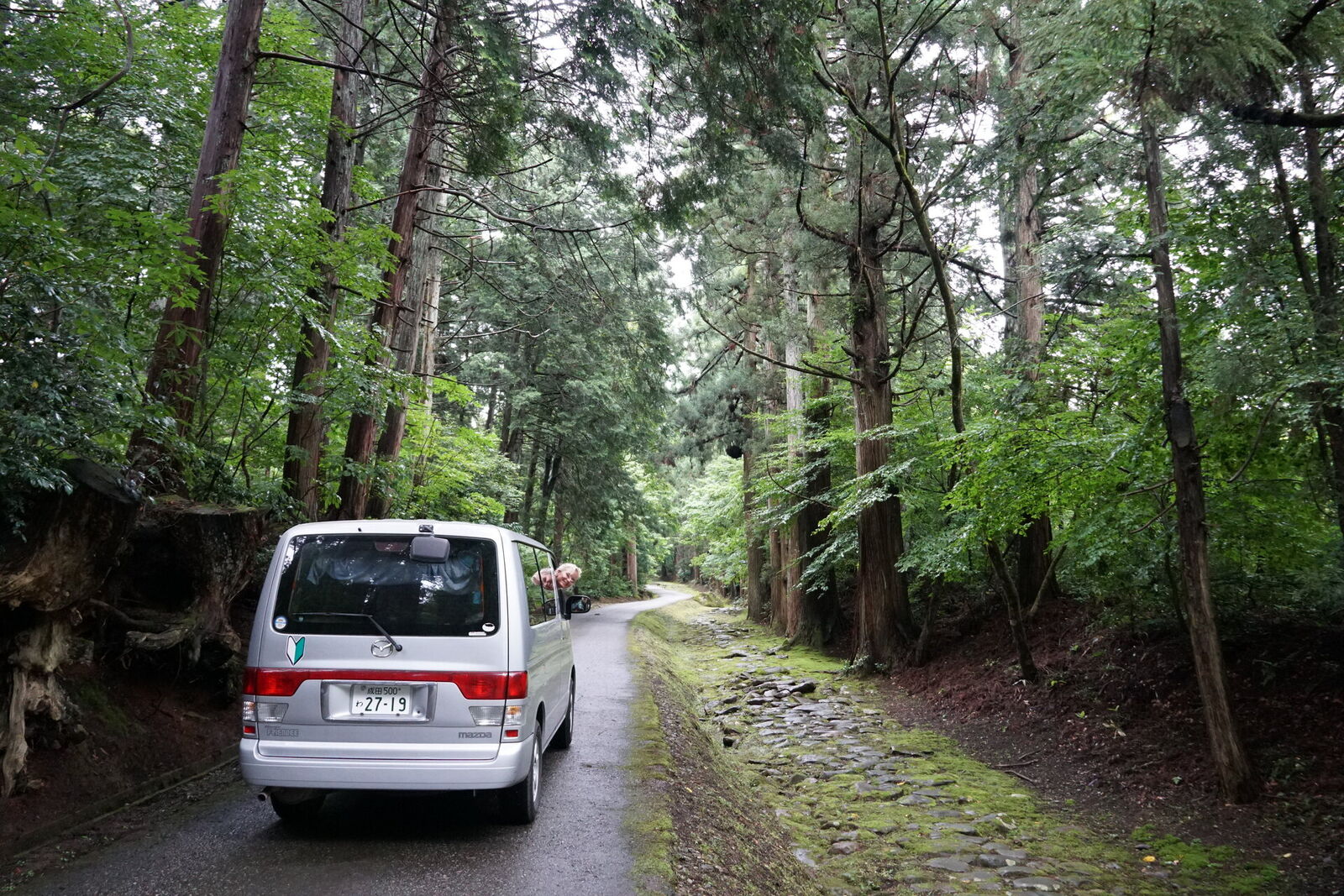 The campervan on the modern one-lane asphalt road, the original medieval stone-block access road running right alongside it through the cedar forest