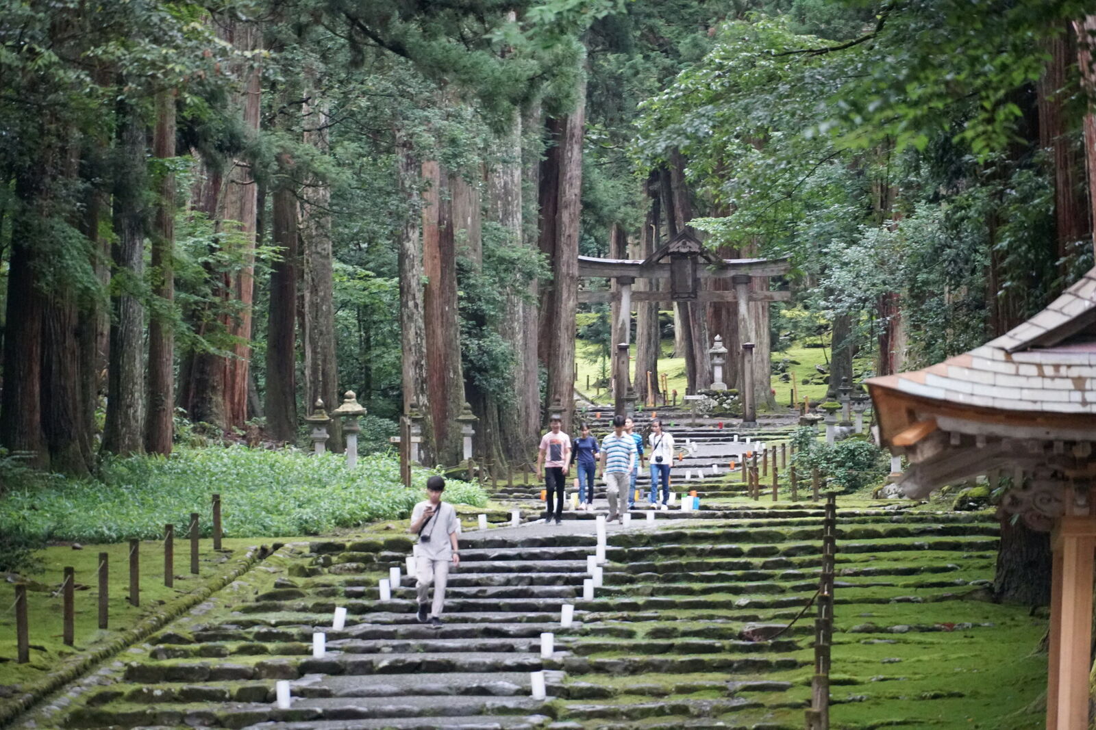 Visitors walking up the moss-lined stone steps toward the torii gate, showing the scale of the ancient approach