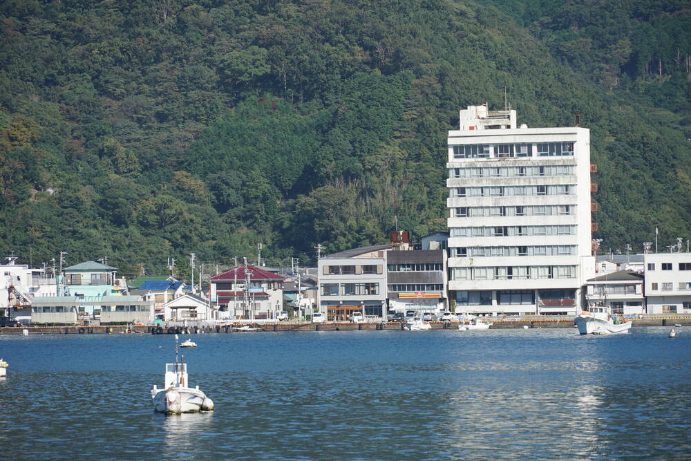 The abandoned bubble-era hotel towering over the small harbour buildings, its windows dark and empty against the green mountain
