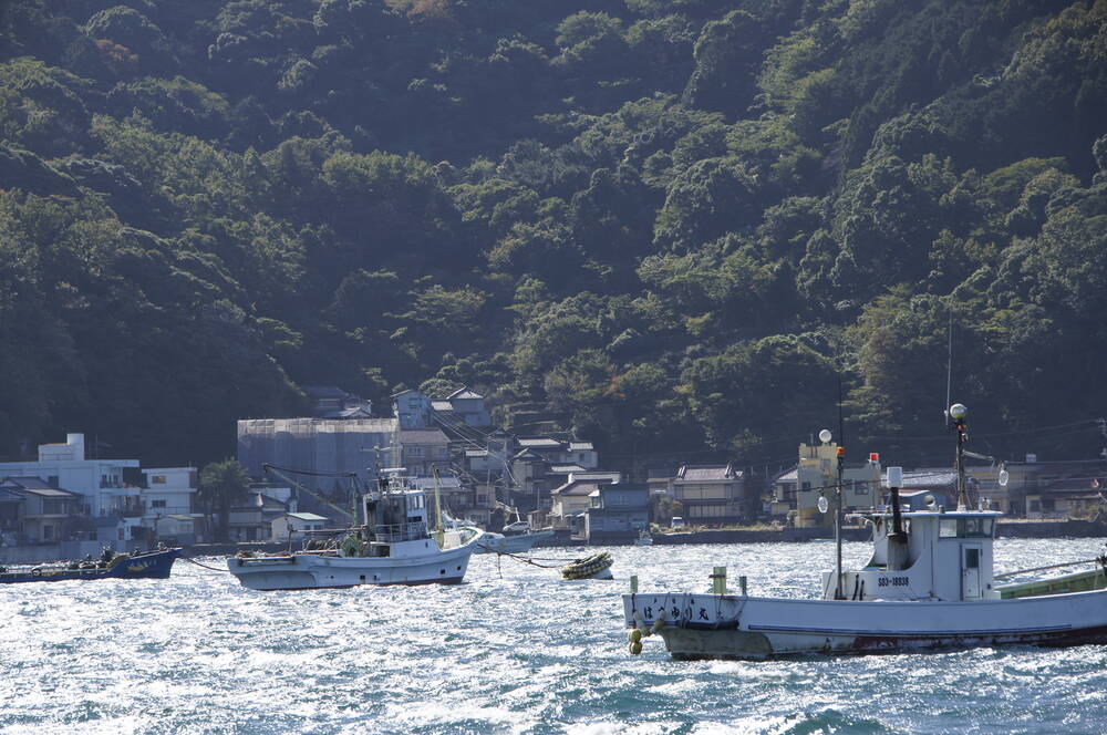 Fishing boats in the harbour with afternoon backlight sparkling on the water, forested mountain behind the village