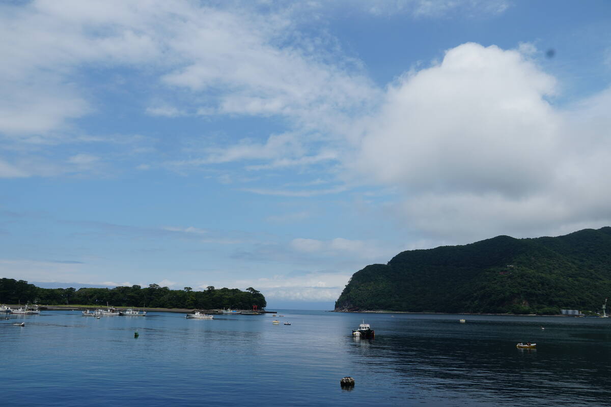 Blue and white fishing boats securely moored at Heda dock with harbor buildings in the background