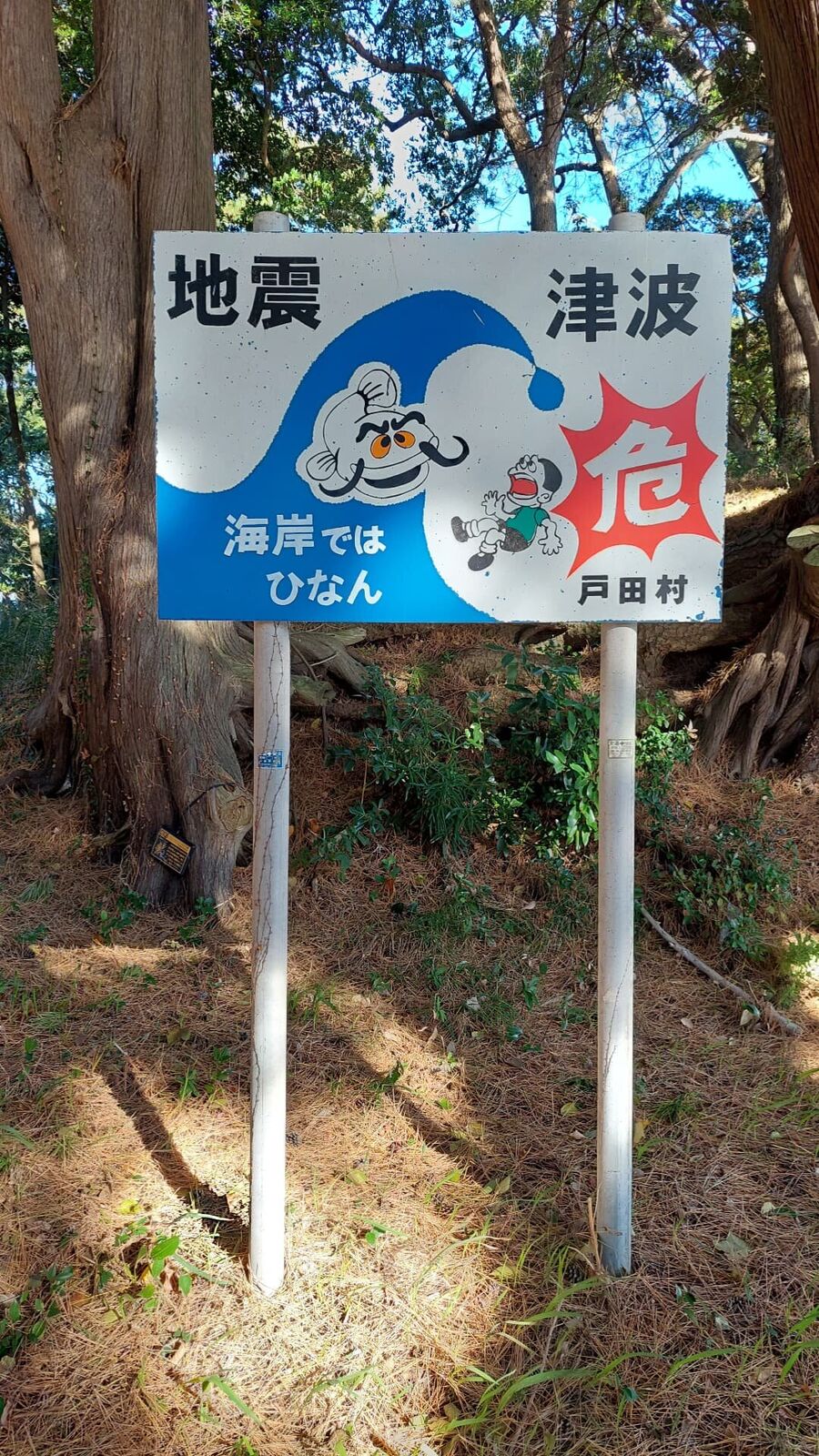 Person walking dogs on the ancient stone wall of the shrine peninsula, a cat jumping down the wall, Fuji visible in the distance