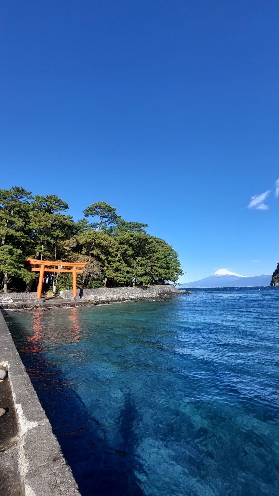 Driving the Izu coast road toward Mount Fuji, the mountain visible at the end of a curving road flanked by autumn trees