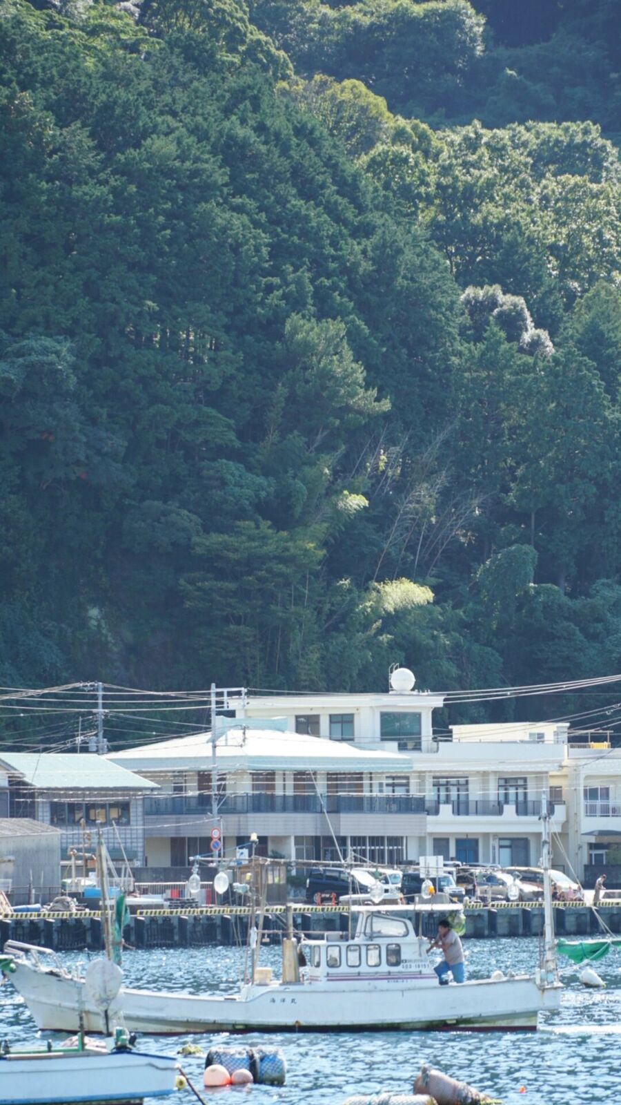 Heda harbour overview from the water, fishing boats moored, white buildings along the waterfront, dense forest rising steeply behind
