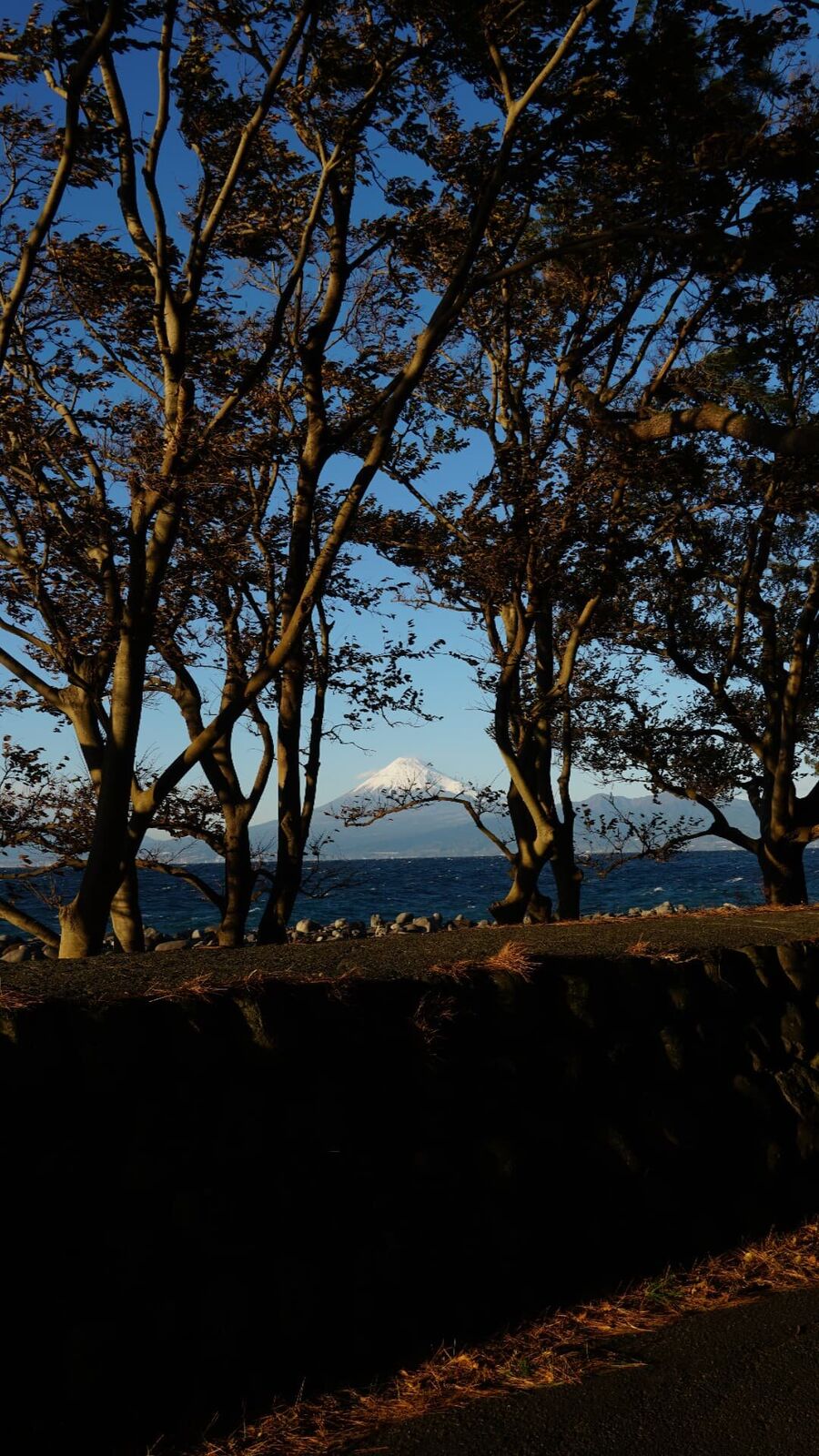 The red torii gate on the shrine peninsula with crystal clear turquoise water in the foreground and snow-capped Mount Fuji across the bay