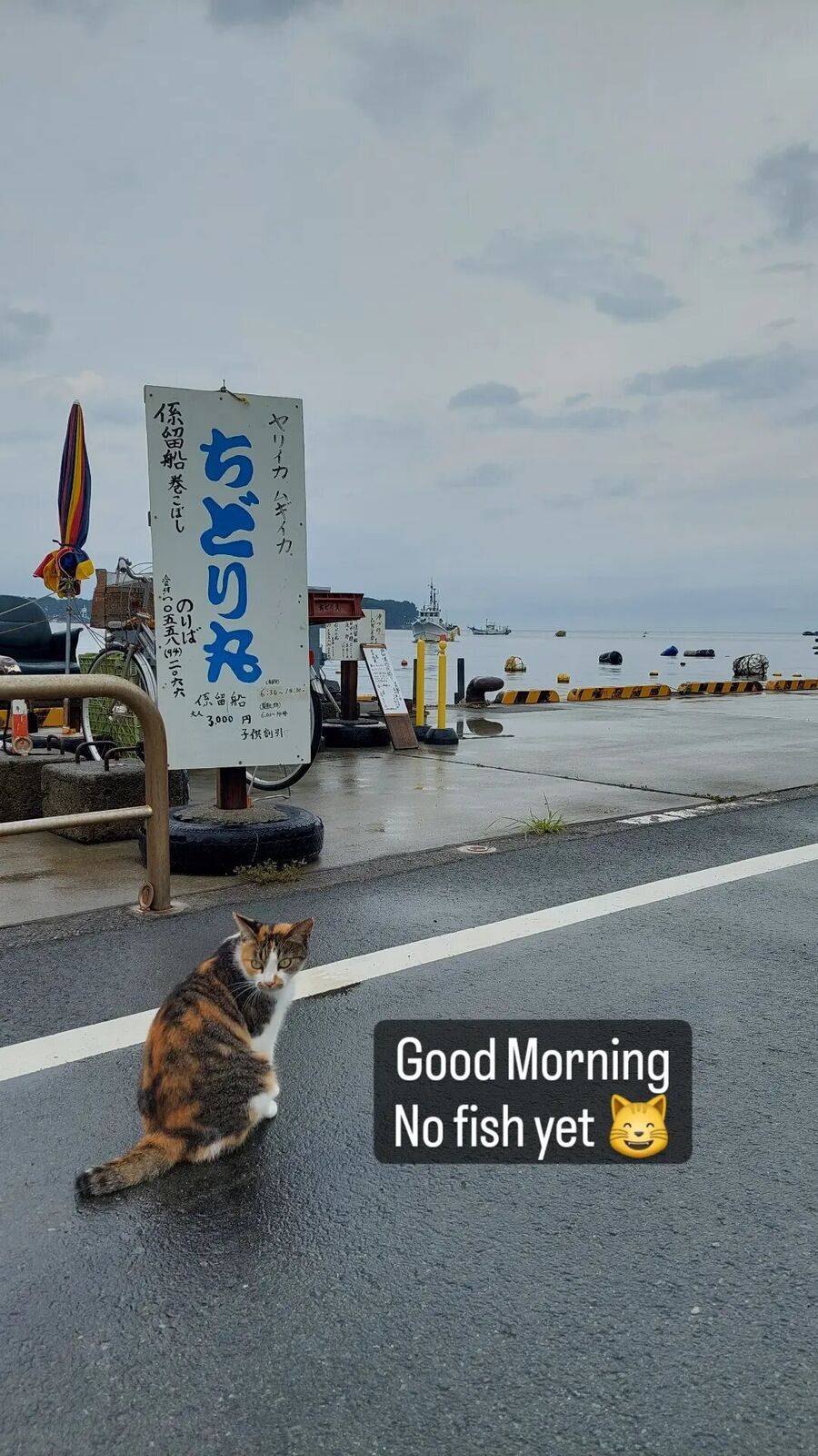 Tsunami warning sign on a post near the shrine peninsula: 4.0 meters above sea level, predicted inundation 1-2 meters, a reminder of the Izu coast's reality