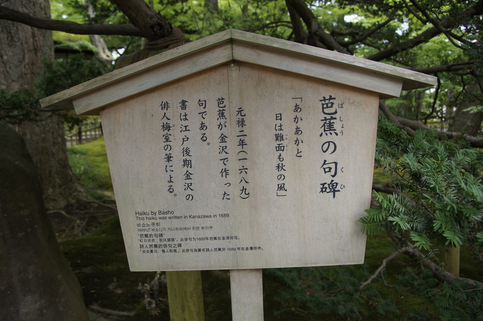 Wooden sign with Basho's haiku calligraphy near an ancient tree in Kenrokuen garden