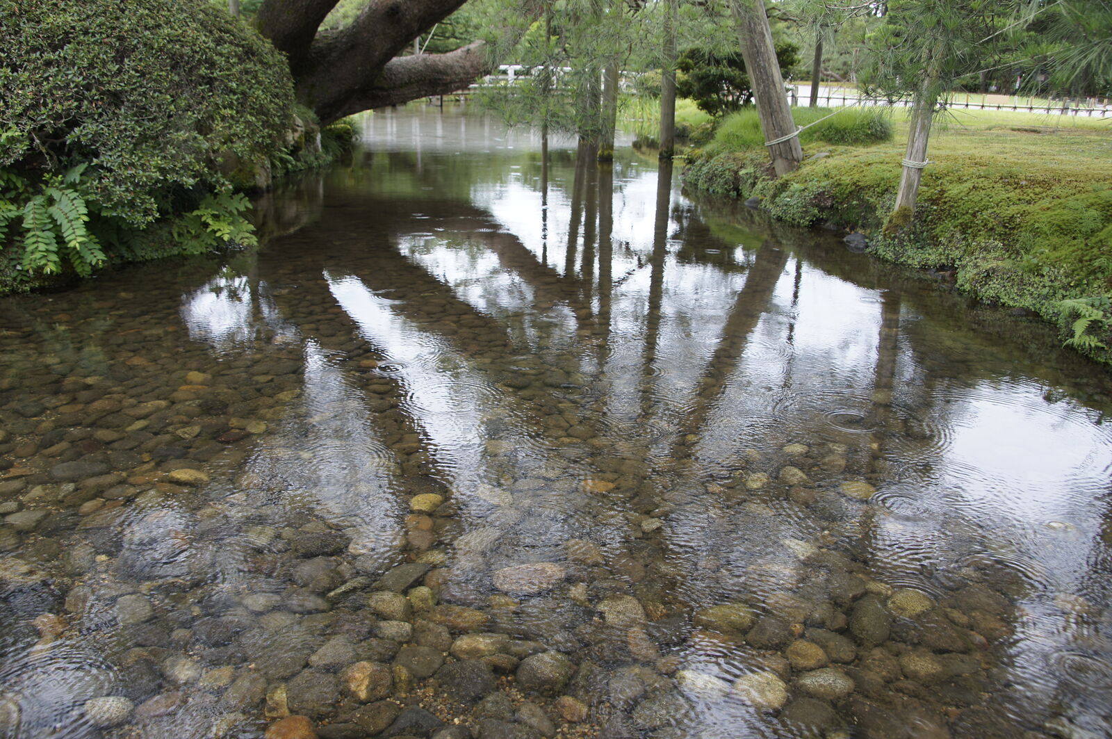 Crystal clear stream with pebble bottom and tree reflections in the water