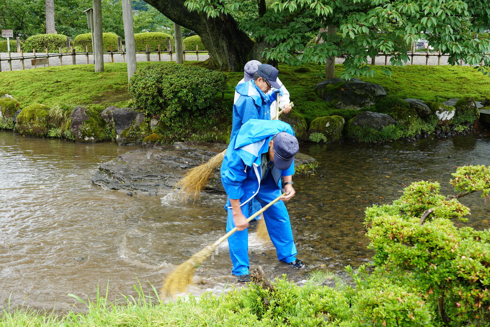 Two gardeners in blue uniforms sweeping the stream bed with bamboo brooms in Kenrokuen