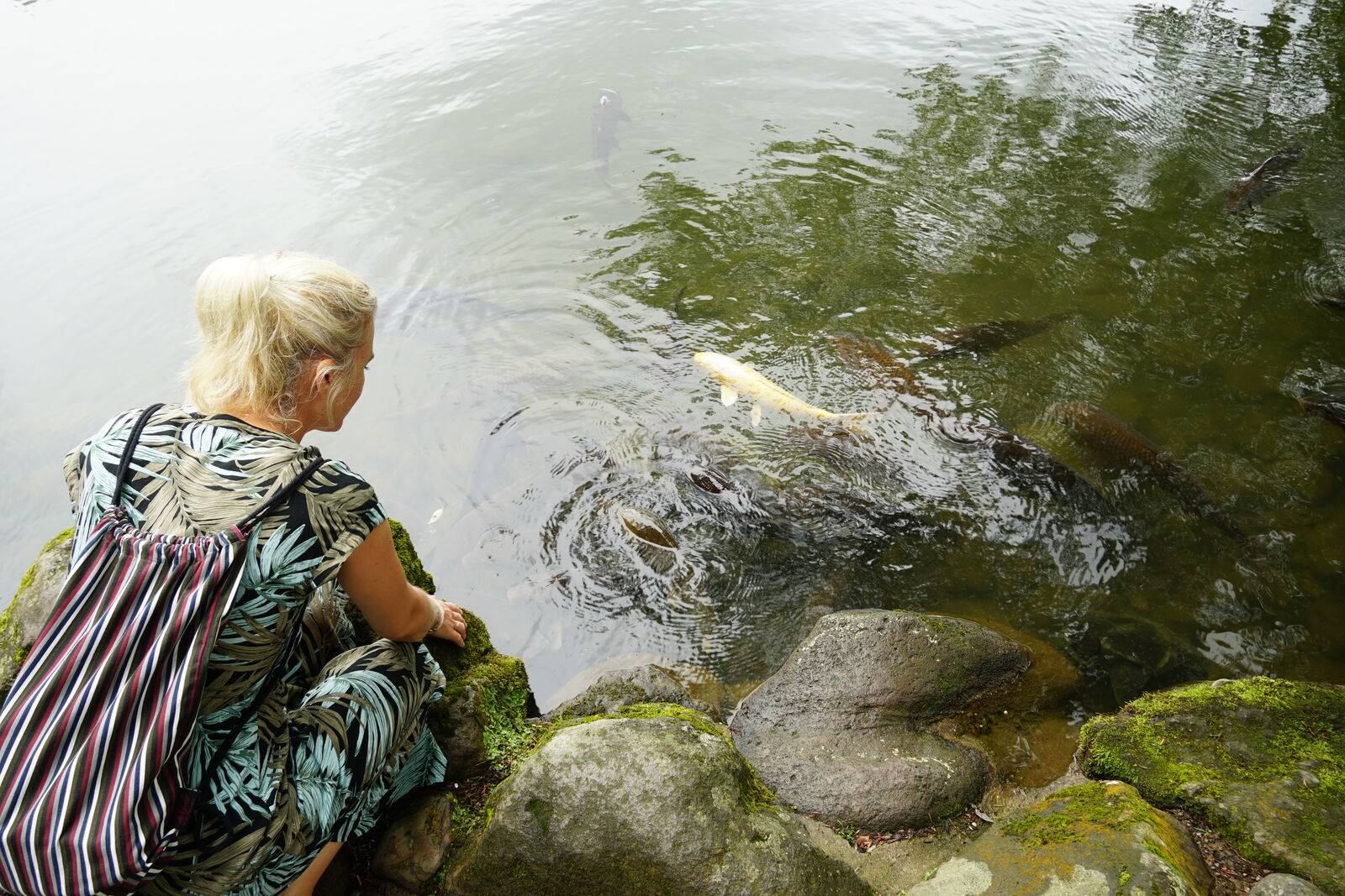 Isi from behind watching the koi in the pond