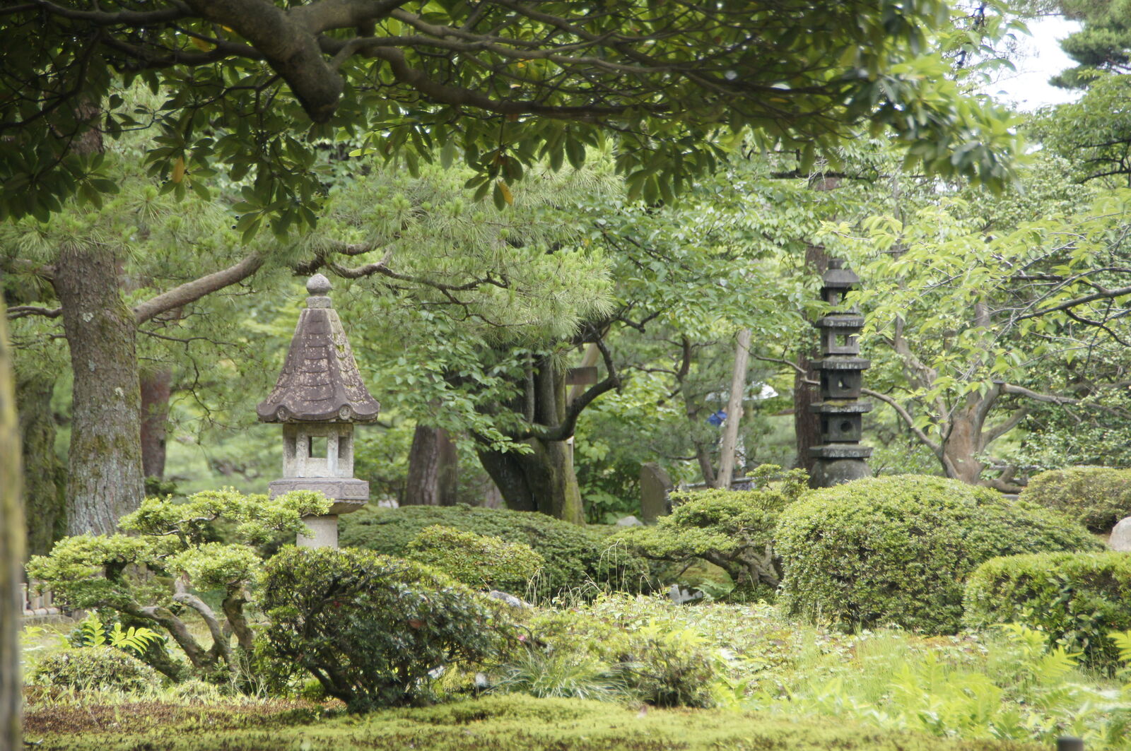 Two stone lanterns framed by sculpted bushes and layered trees in green garden depth