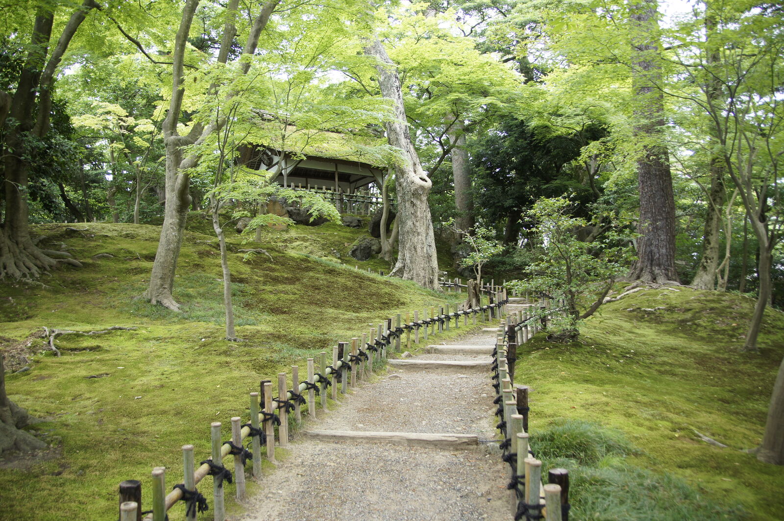 Gravel path winding up a moss-covered hill to a rustic pavilion among trees
