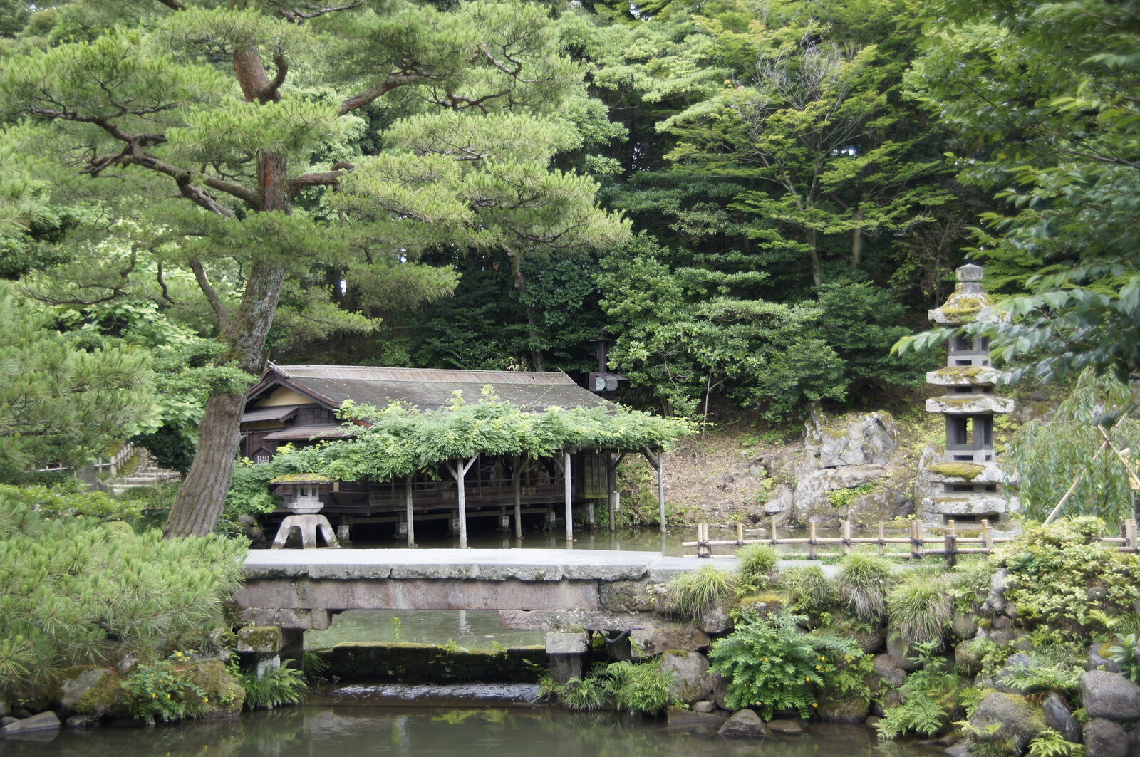 Massive pine framing the tea house, stone bridge and pagoda lantern in classic Kenrokuen view